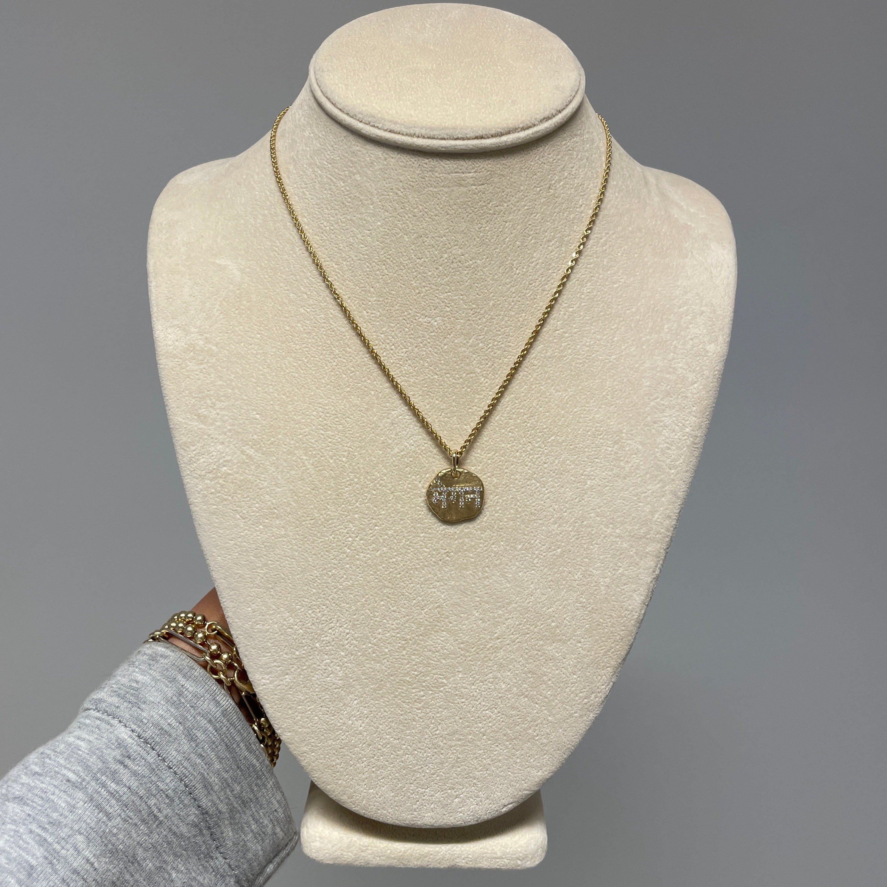 DIAMOND MEDALLION NECKLACE (CUSTOM)