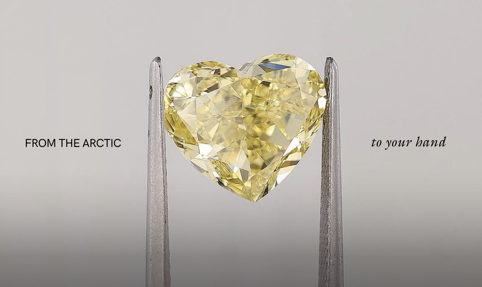 From the Arctic to your hand