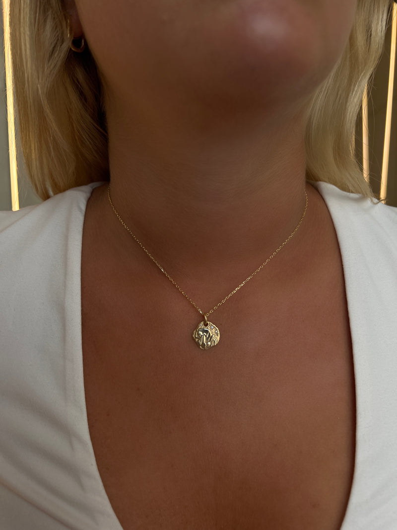 MINI AQUARIUS ZODIAC MEDALLION