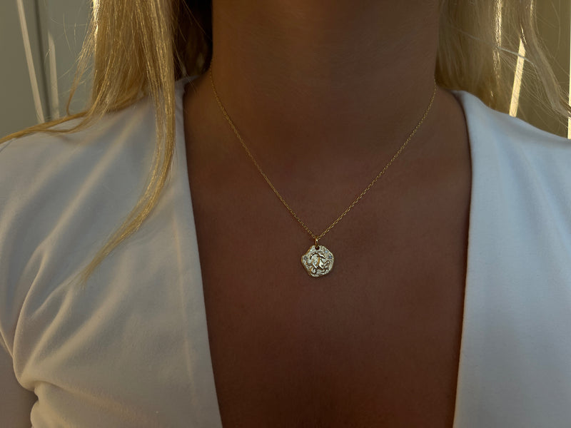 MINI CAPRICORN ZODIAC MEDALLION