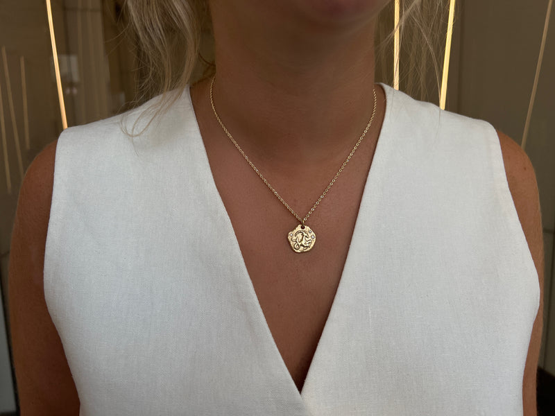 CAPRICORN ZODIAC MEDALLION