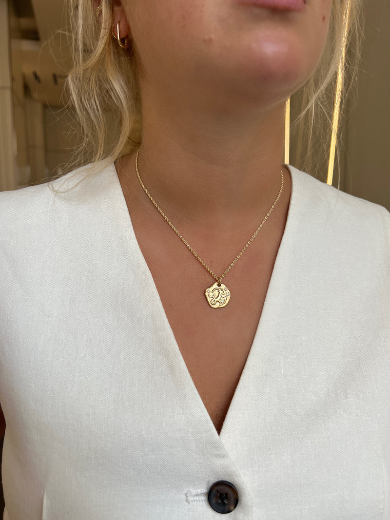 CAPRICORN ZODIAC MEDALLION