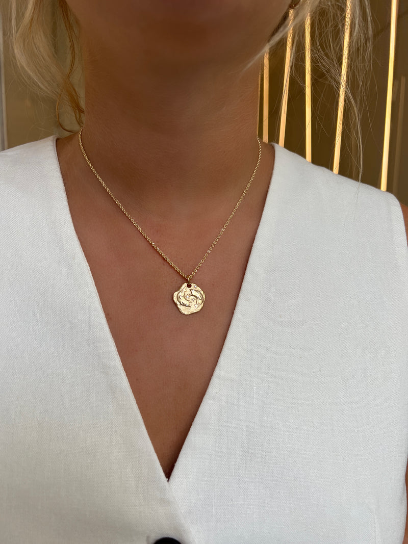 PISCES ZODIAC MEDALLION