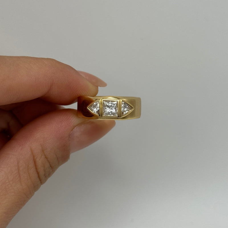 MINAS Ring