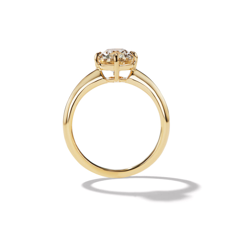 MAE 2.21 Ring