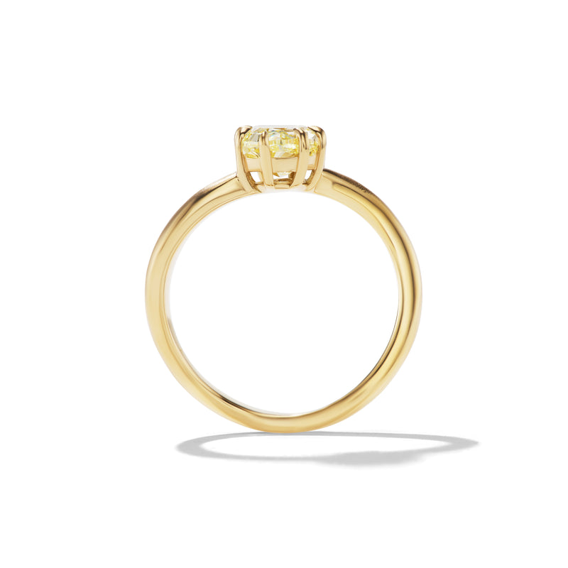 DAPHNE Ring | AARYAH X CINQ Collection